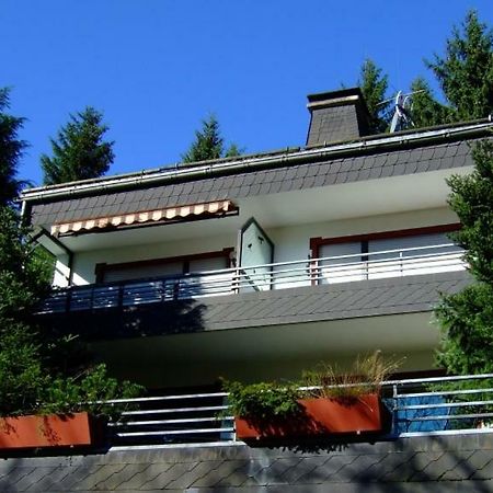 Ferienwohnung Napierski Willingen  Luaran gambar