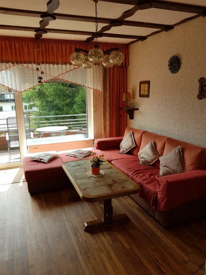 Ferienwohnung Napierski Willingen  Luaran gambar